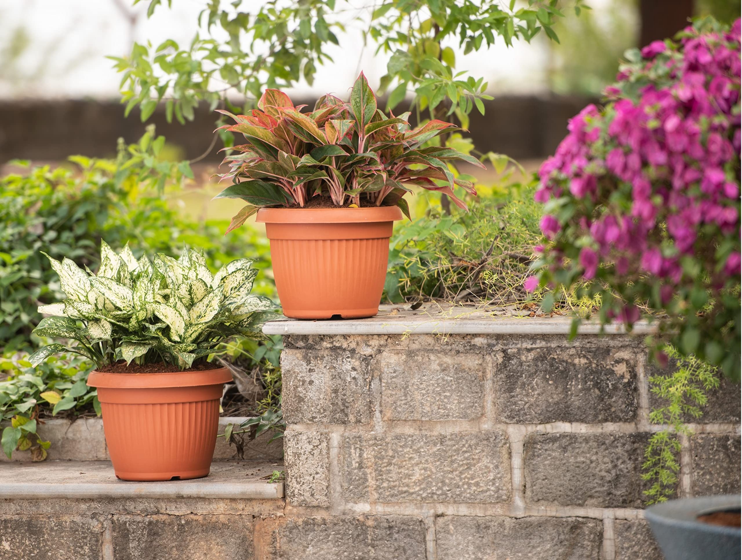 Pot And Planter Store